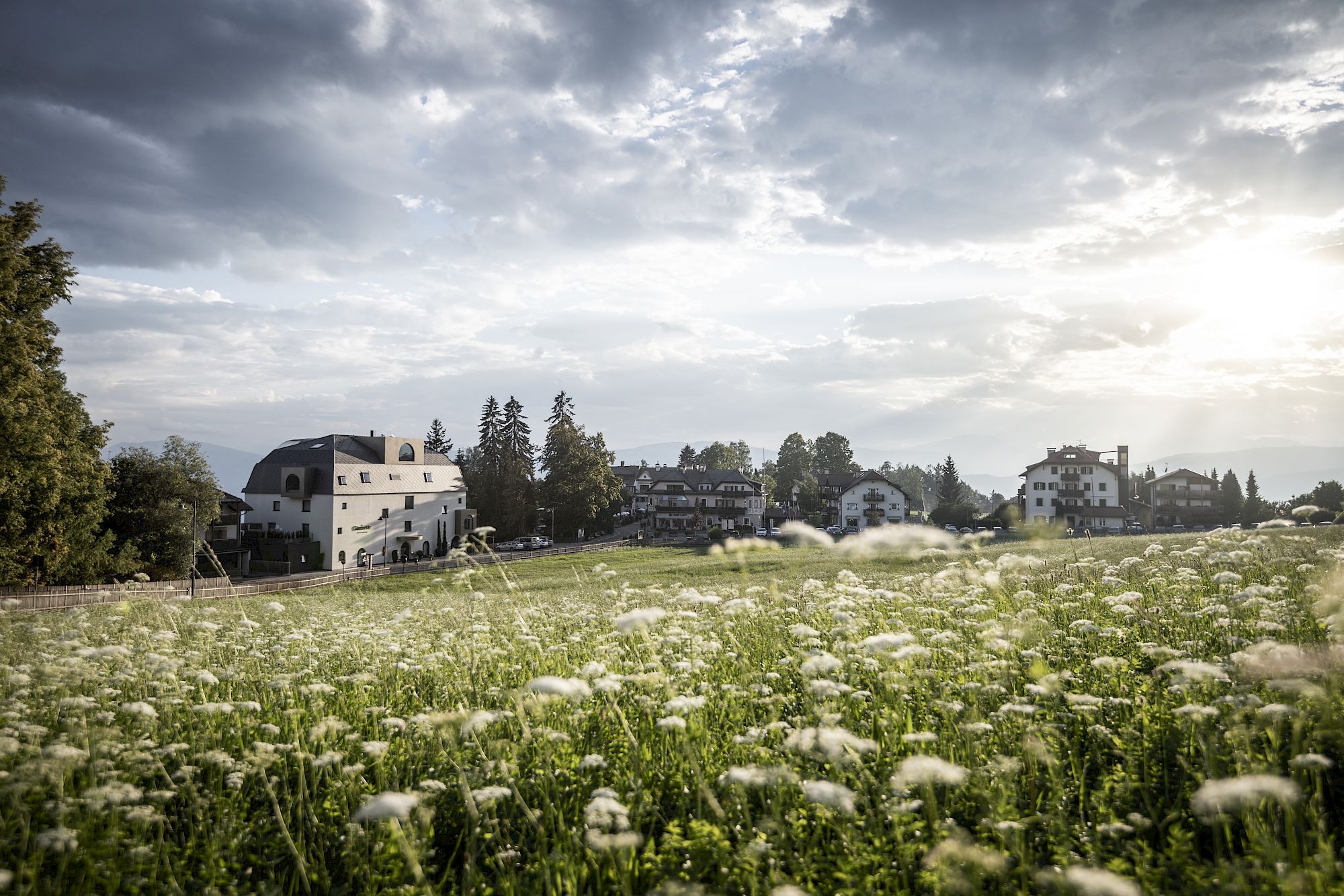 Wiese mit Blumen im Vordergrund, dahinter das Gloriette Guesthouse unter bewölktem Himmel bei Sonnenaufgang.