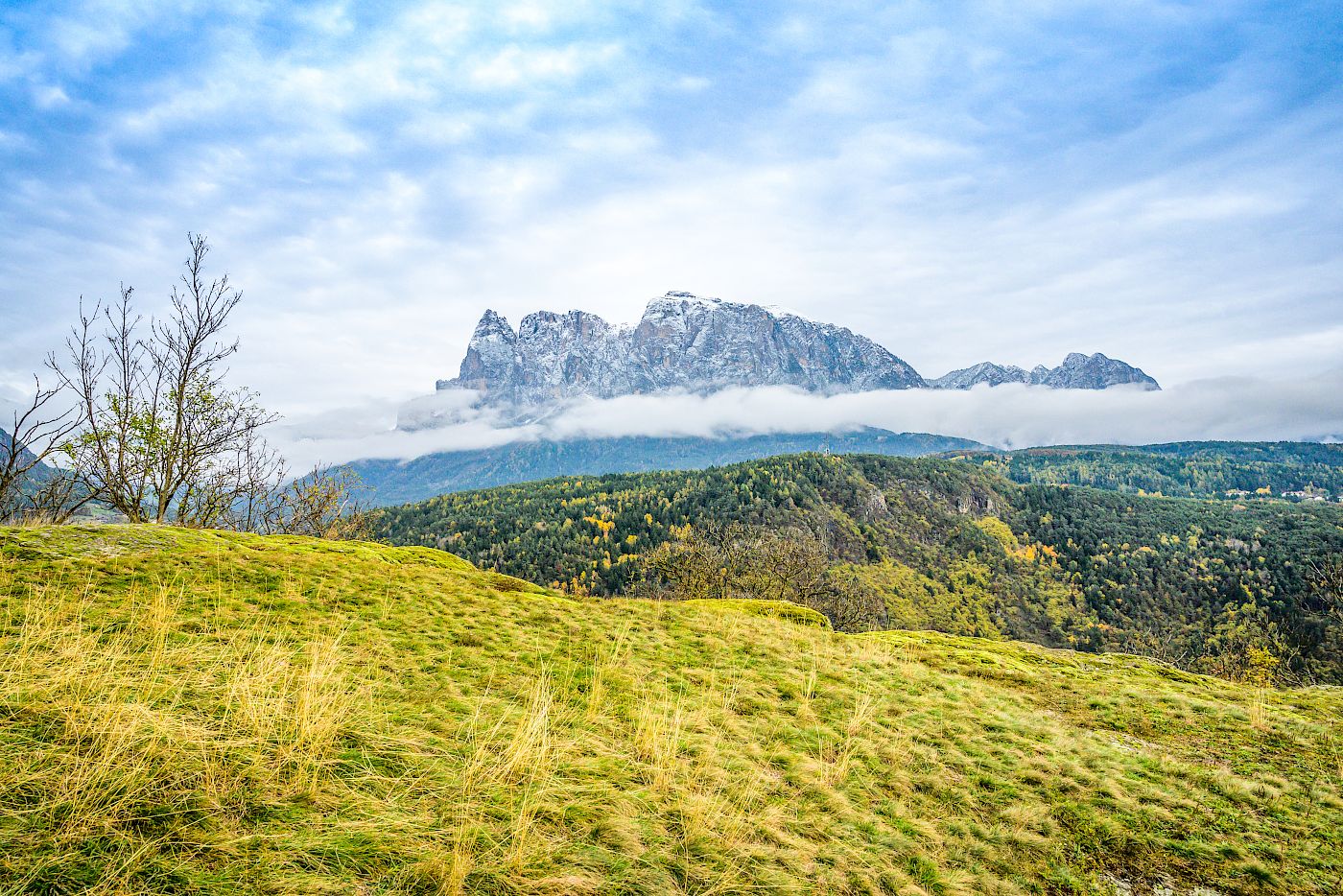 Prato verde e arbusti in primo piano, sullo sfondo montagne innevate e cielo nuvoloso.
