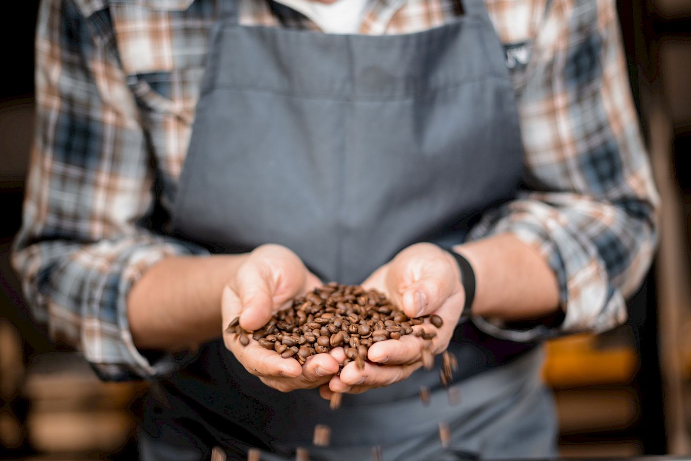 Mann in Schürze prüft Kaffeebohnen in Rösterei, konzentriert auf Qualität und Aroma.