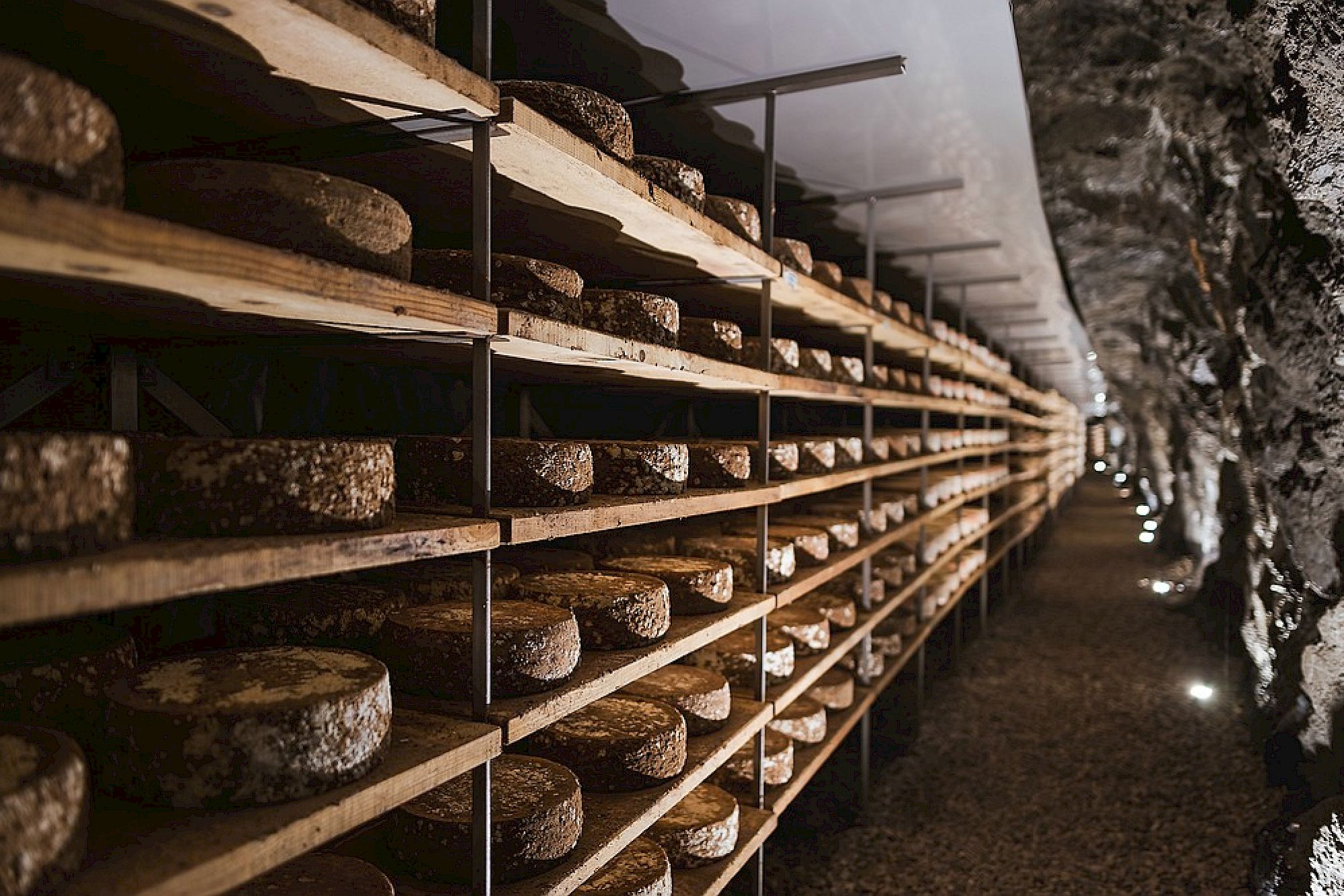 Reifekeller für Käseleibe, gestapelt auf Holzregalen entlang eines langen Tunnels mit Steinwänden.