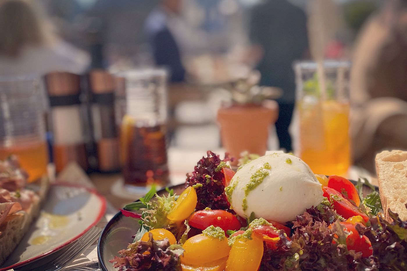Salad with colorful tomatoes and mozzarella, served outdoors on a sunny day.